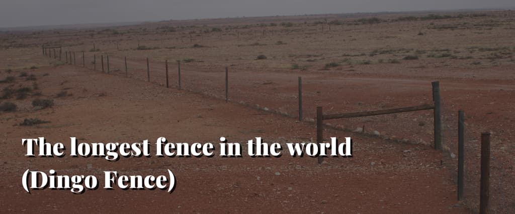 The-longest-fence-in-the-world-Dingo-Fence