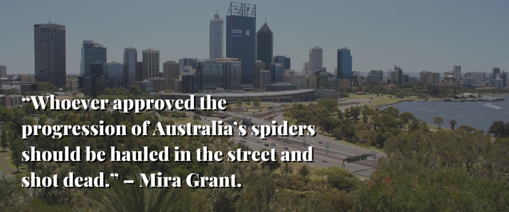Whoever-approved-the-progression-of-Australias-spiders-should-be-hauled-in-the-street-and-shot-dead.-–-Mira-Grant.