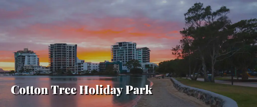 Cotton Tree Holiday Park