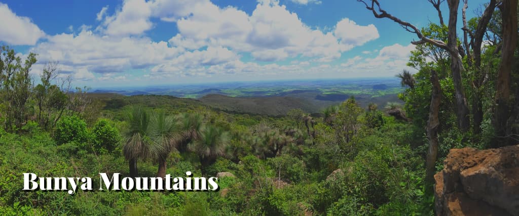 Bunya Mountains