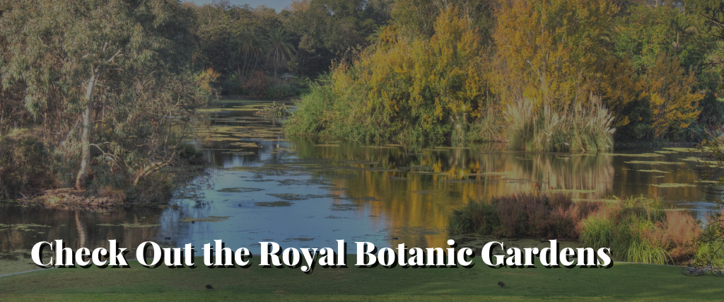 Check Out the Royal Botanic Gardens