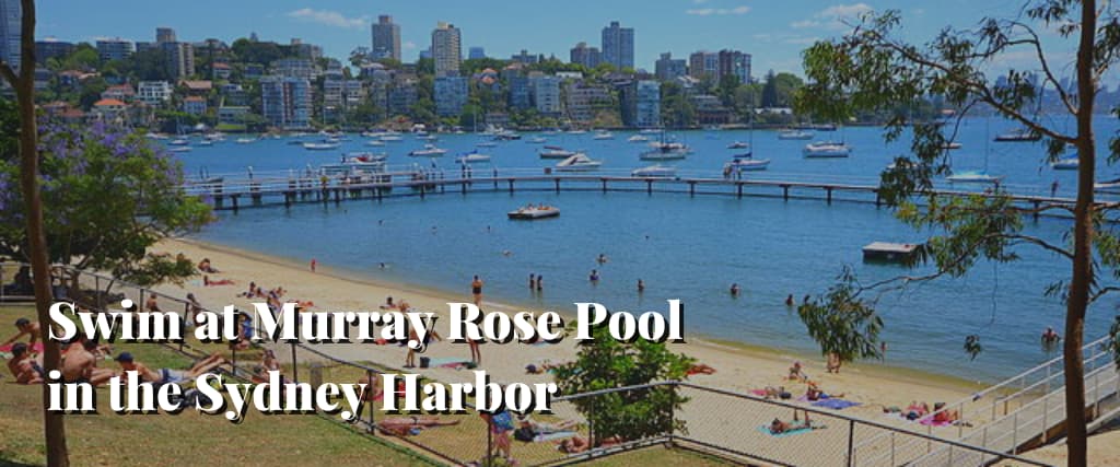 Swim at Murray Rose Pool in the Sydney Harbor