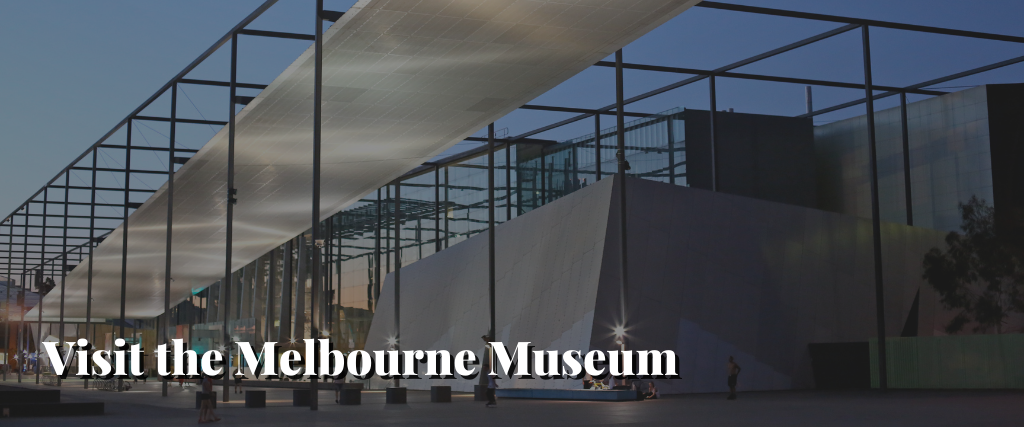 Visit the Melbourne Museum