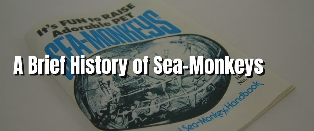 A Brief History of Sea-Monkeys