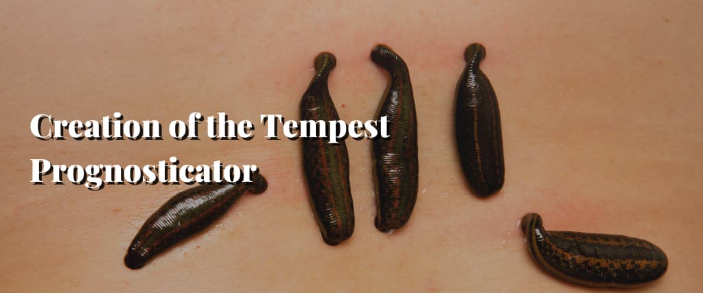 Creation of the Tempest Prognosticator