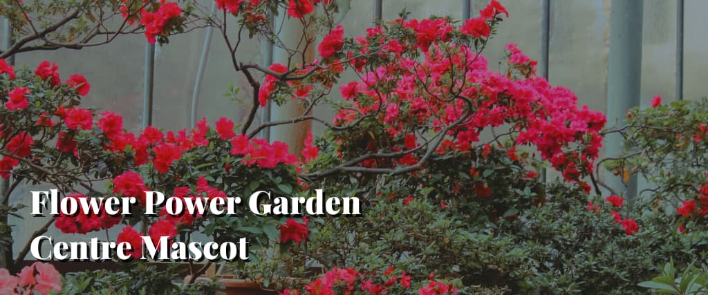 Flower Power Garden Centre Mascot