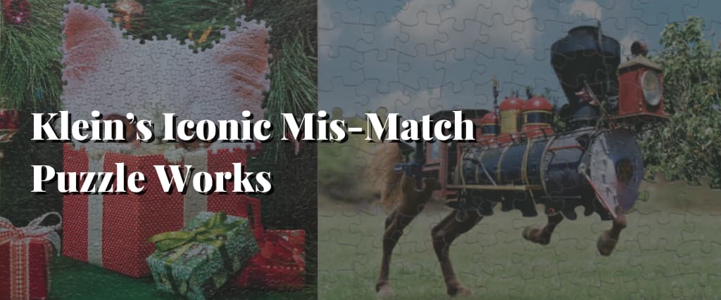 Kleins-Iconic-Mis-Match-Puzzle-Works
