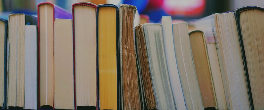 Literature Heavyweights Series