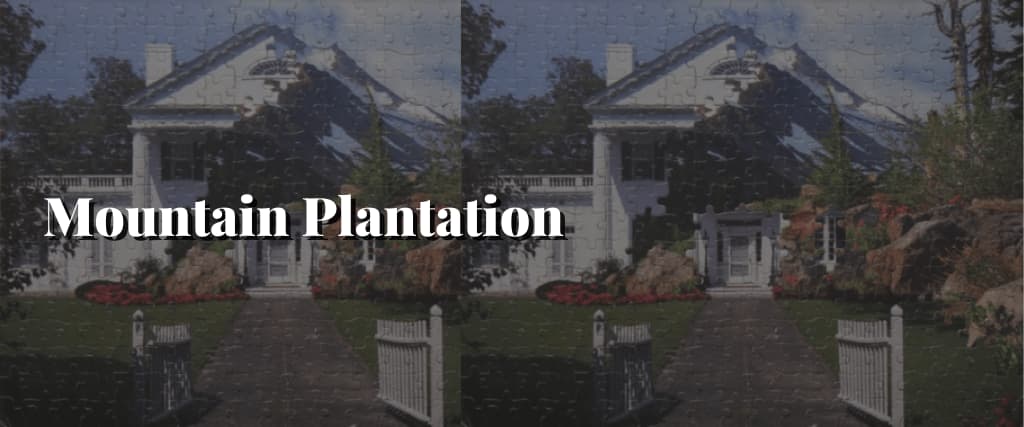 Mountain-Plantation