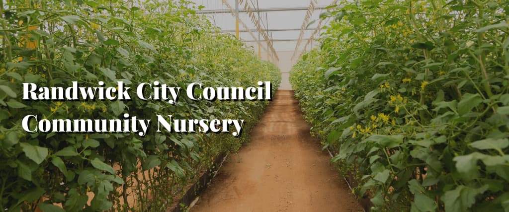 Randwick City Council Community Nursery