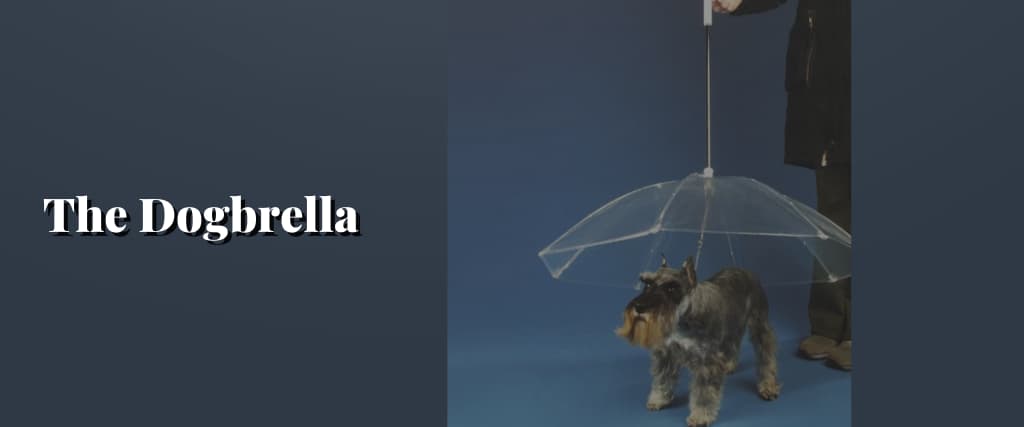 The-Dogbrella