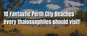 10 Fantastic Perth City Beaches every thalossophiles should visit!