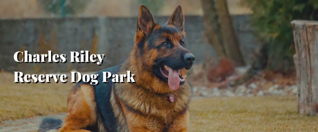 Charles Riley Reserve Dog Park