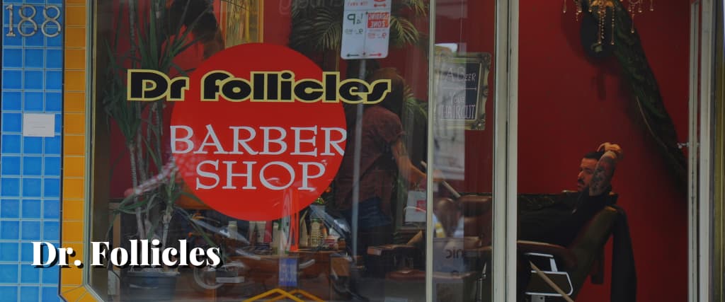 Dr. Follicles
