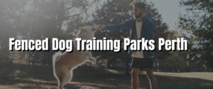 Fenced Dog Training Parks Perth
