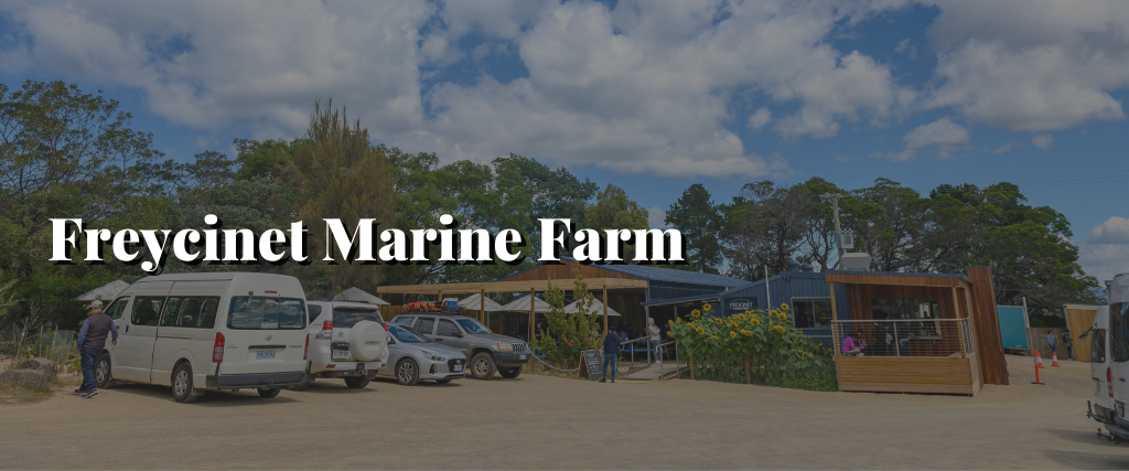 Freycinet Marine Farm 