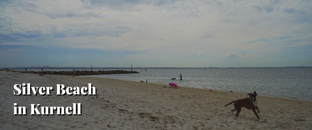 Silver Beach in Kurnell