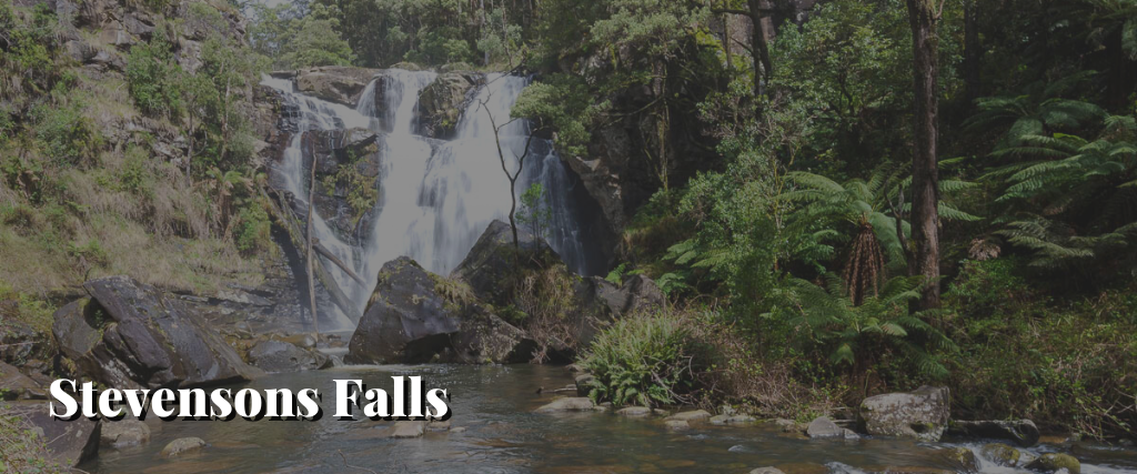 Stevensons Falls