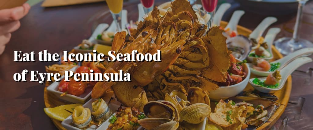 Eat the Iconic Seafood of Eyre Peninsula