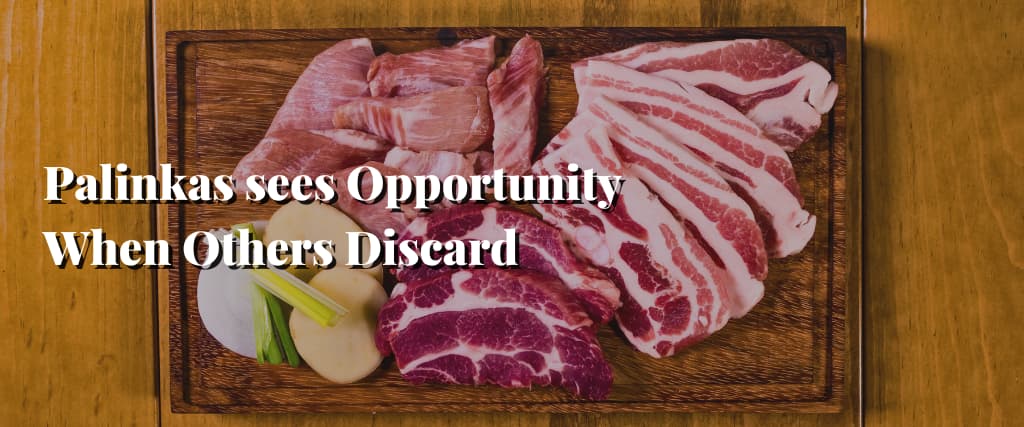 Palinkas sees Opportunity When Others Discard