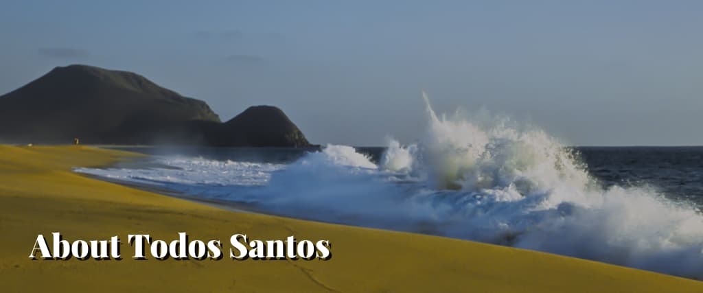 About Todos Santos