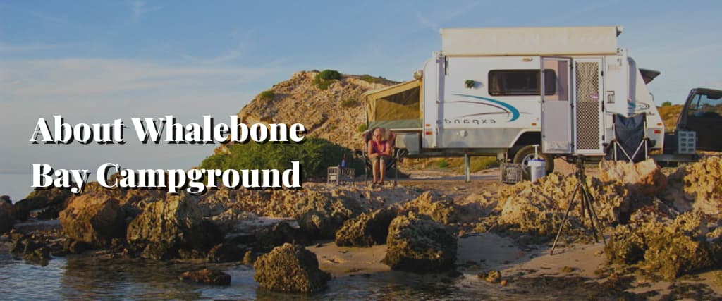 About Whalebone Bay Campground
