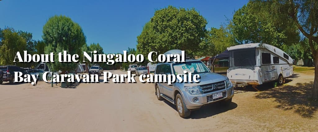About the Ningaloo Coral Bay Caravan Park campsite