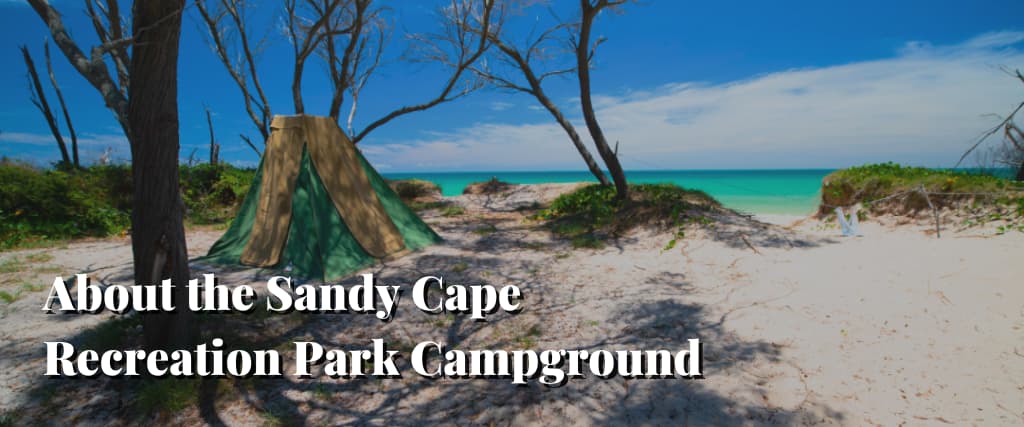 About the Sandy Cape Recreation Park Campground