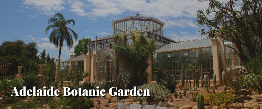 Adelaide Botanic Garden