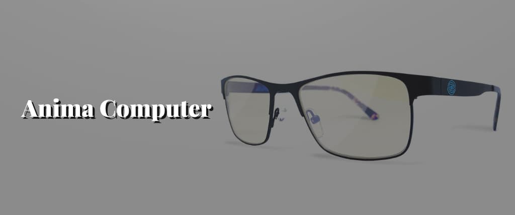 Anima-Computer