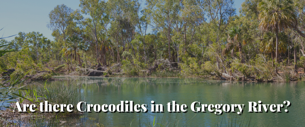 Are there Crocodiles in the Gregory River