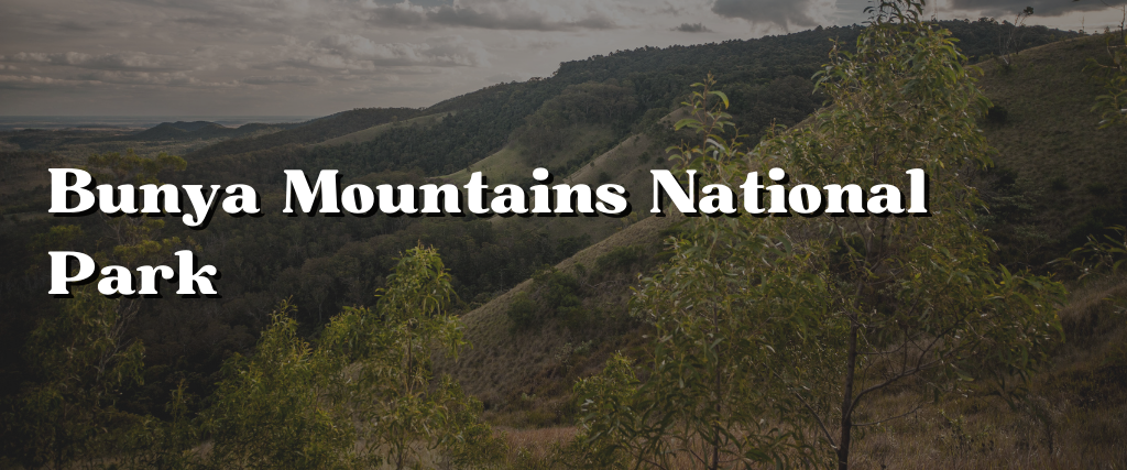 Bunya Mountains National Park