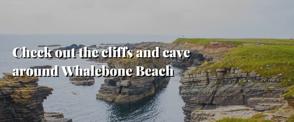 Check out the cliffs and cave around Whalebone Beach