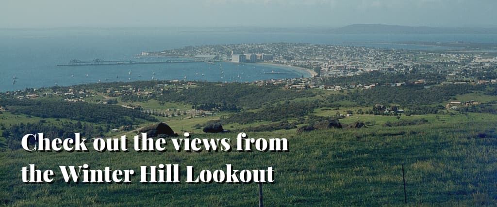 Check out the views from the Winter Hill Lookout