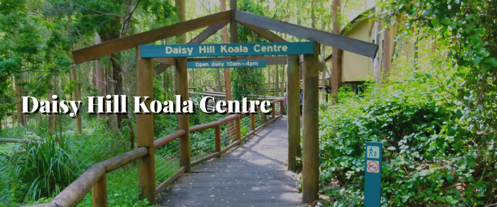 Daisy Hill Koala Centre