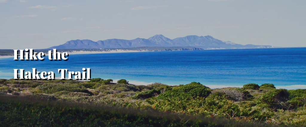 Hike the Hakea Trail