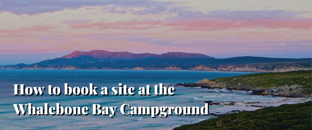 How to book a site at the Whalebone Bay Campground