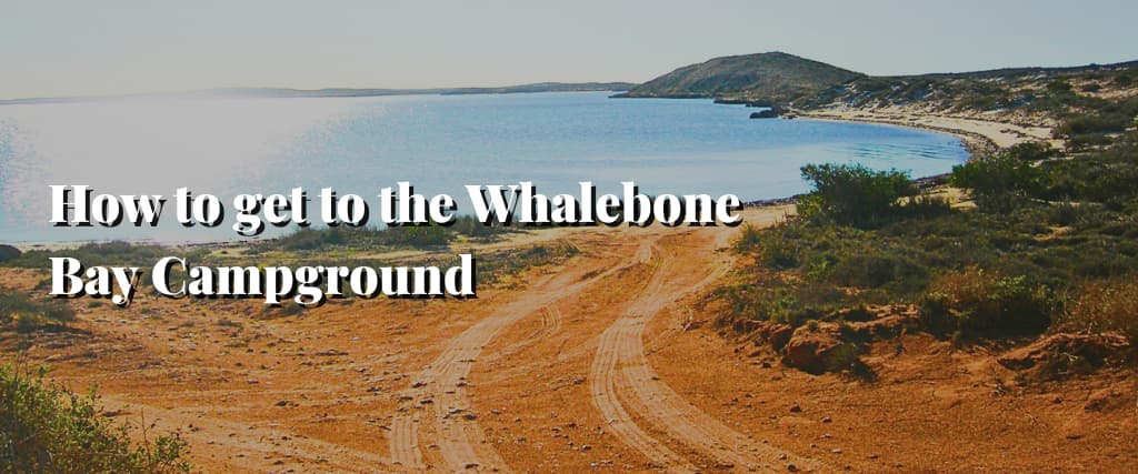How to get to the Whalebone Bay Campground