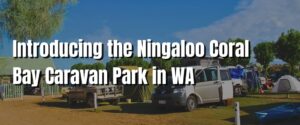 Introducing the Ningaloo Coral Bay Caravan Park in WA