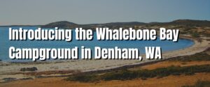 Introducing the Whalebone Bay Campground in Denham, WA