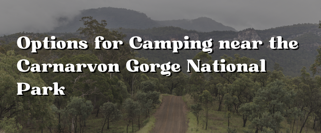 Options for Camping near the Carnarvon Gorge National Park