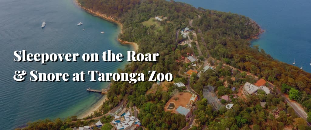 Sleepover on the Roar & Snore at Taronga Zoo