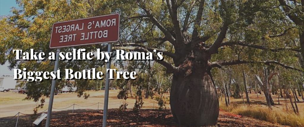 Take a selfie by Roma’s Biggest Bottle Tree