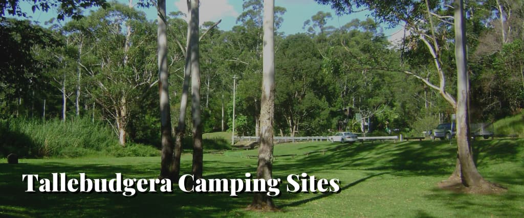 Tallebudgera Camping Sites