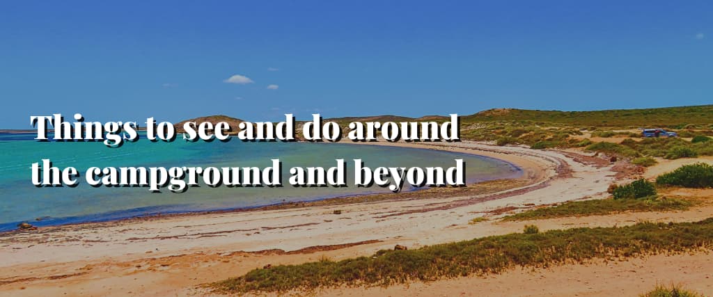 Things to see and do around the campground and beyond