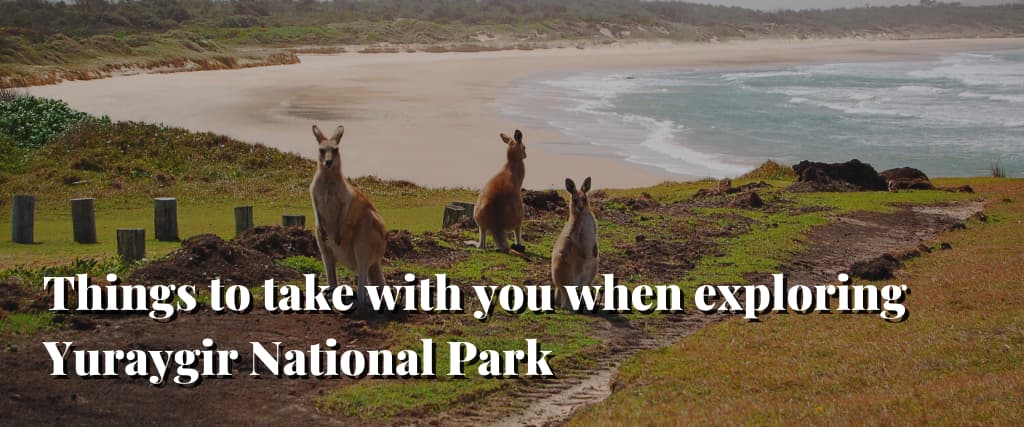 Things to take with you when exploring Yuraygir National Park