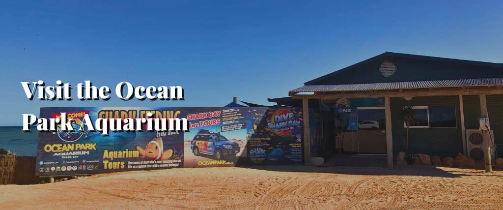 Visit the Ocean Park Aquarium