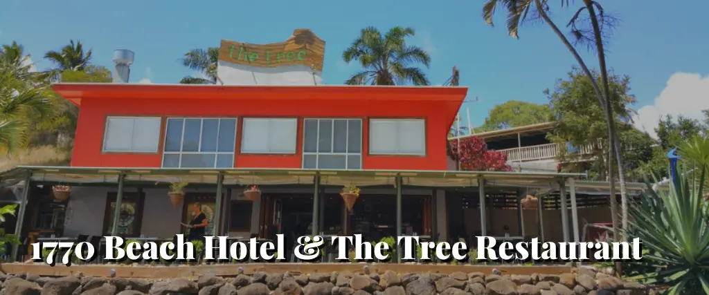 1770 Beach Hotel & The Tree Restaurant