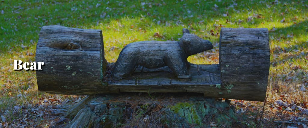 Bear