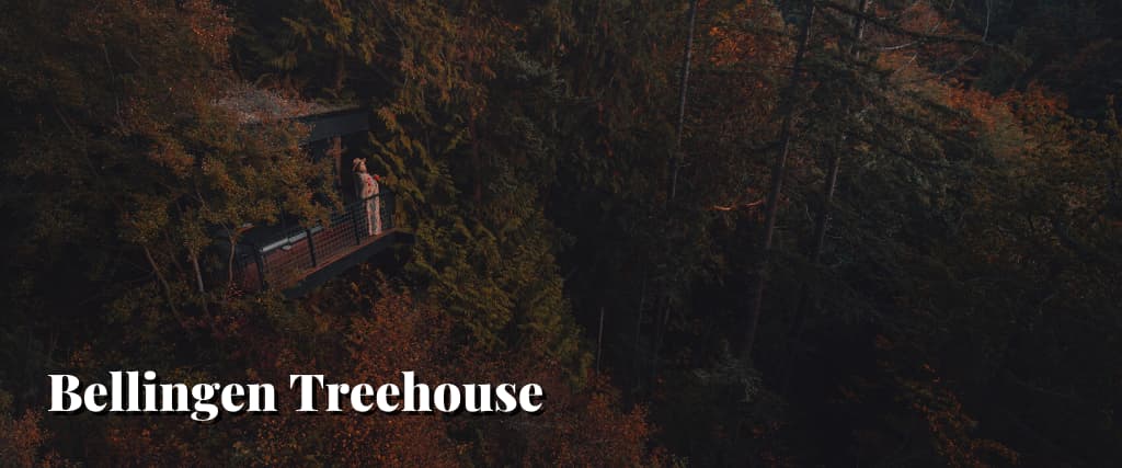 Bellingen Treehouse